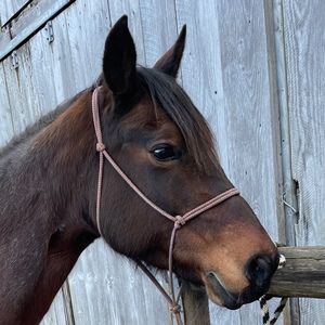 Meet your Posher, Addison